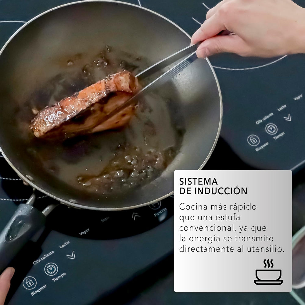 PARRILLA RCA RC-12A4 INDUCCIóN 2QUEMADORES 2000W 8NIVELES 5FUNCIONES - Ekar de Gas
