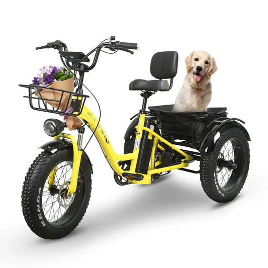 TRICICLO HONEY WHALE S13 500-800W VEL MAX 40KM/H SOPORTE 130KG ALUMINIO AMARILLO