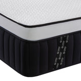 COLCHON THERAPEDIC NOLAN MEDIO/FIRME