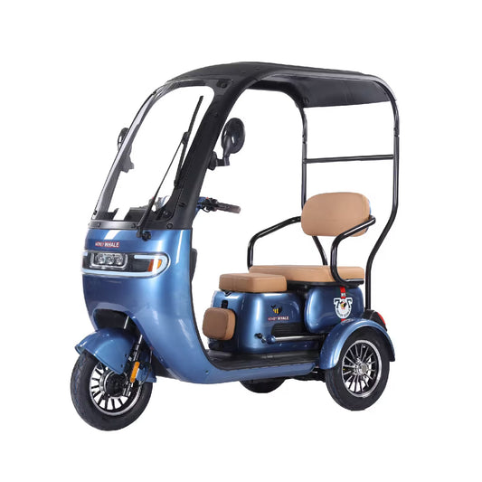 MOTOBICI HONEY WHALE HN-N5 650-1500W VEL MAX 30KM/H SOPORTE 200KG ACERO AZUL