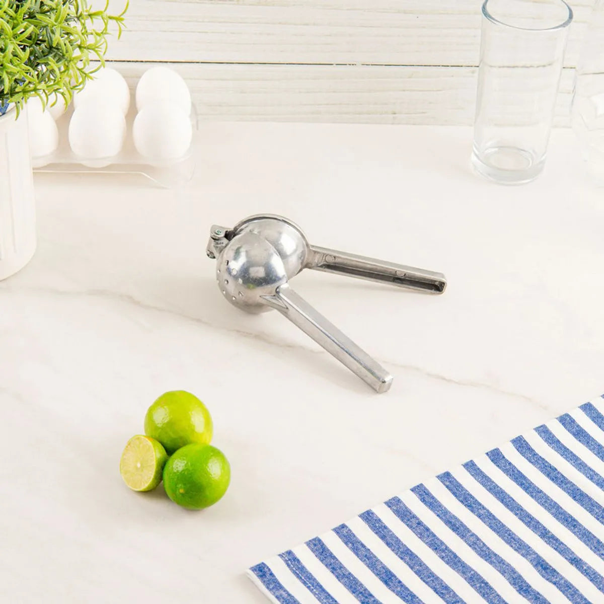 Exprimidor ekco 50740/70000828 limones aluminio