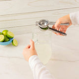 Exprimidor ekco 50740/70000828 limones aluminio