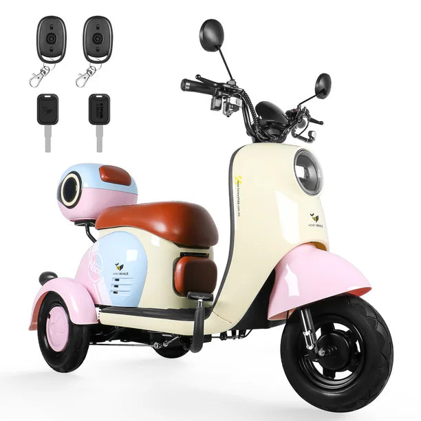 Trimoto Eléctrica Honey Whale V1 600W 60V Autonomía 50 km - Ekar de Gas