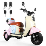 Trimoto Eléctrica Honey Whale V1 600W 60V Autonomía 50 km - Ekar de Gas