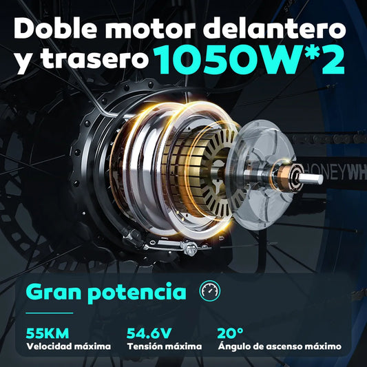 BICICLETA HONEY WHALE BK08